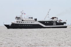 weiteres Foto: KOI - 53m (dA 2015) [IMO:7928615] - doppelte Aufnahme Passagierschiff Fotodatum: 2015-07-19 Baujahr: 1980 | DWT: 162t | Breite: 9,70m | Tiefgang: max. 2,15m Maschinenleistung: 1390...