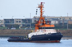 weiteres Foto: EEMS WRESTLER - 40m (dA 2021) [IMO:8843549] - doppelte Aufnahme Schleppper (Tug) Fotodatum: 2021-11-14 Baujahr: 1990 | Bollard pull: 32t | Breite: 10,52m Maschinenleistung: 1766 KW |...