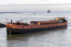 ALASKA - 39m [KEINE IMO-NUMMER] umgebauter Binnenfrachter zu Wohnschiff Fotodatum: 2026-01-22 Baujahr: - | Breite: 6,0m | Tiefgang: -m Maschinenleistung: - KW |...